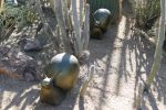 PICTURES/Desert Botanical Gardens - Wild Rising Cracking Art/t_Metalic8.JPG